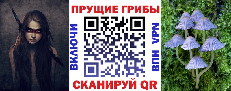 даркнет формула  Старая Русса  Галлюциногенные грибы Cubensis  гидра ссылки 