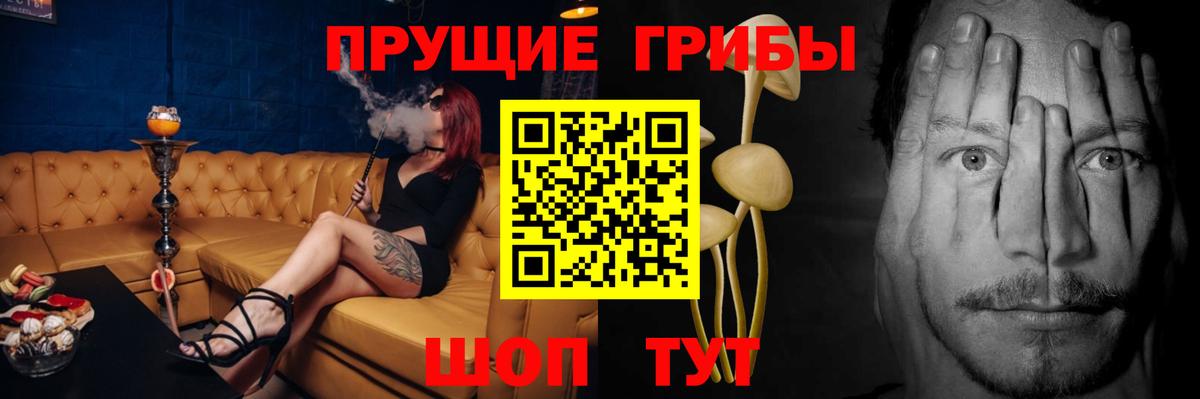 Старая Русса  Псилоцибиновые грибы Magic Shrooms  Вход с VPN 
